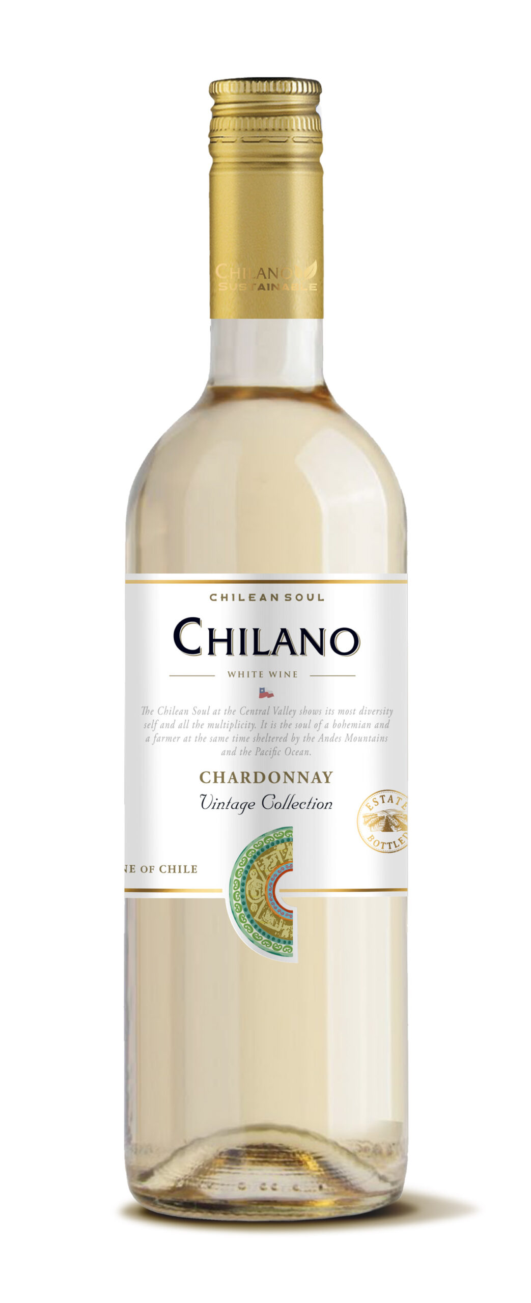 vyf-chilano-chardonnay