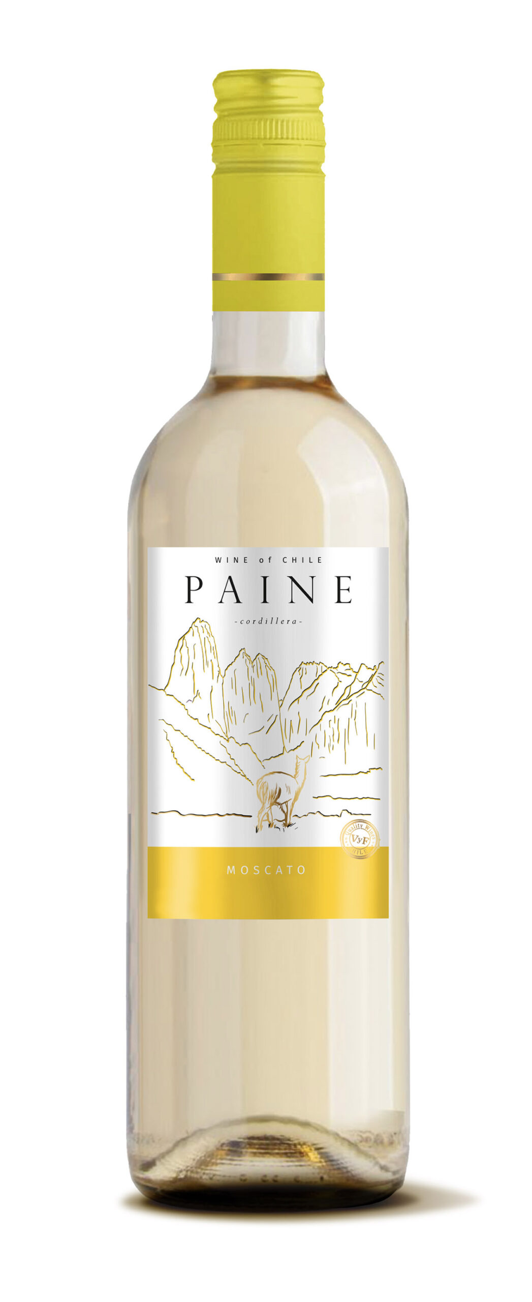 vyf-paine-moscato